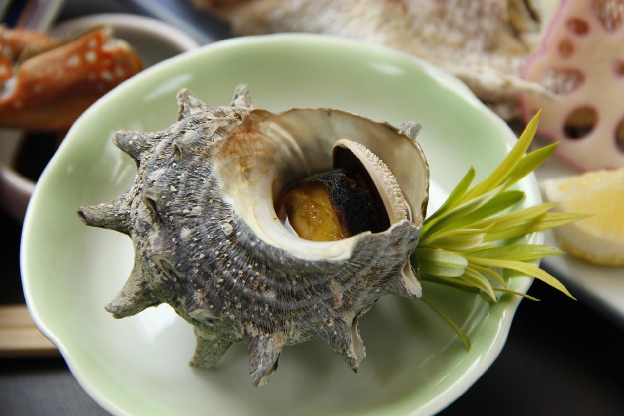Kami Amakusa Ryokan Hinoshimasou المظهر الخارجي الصورة